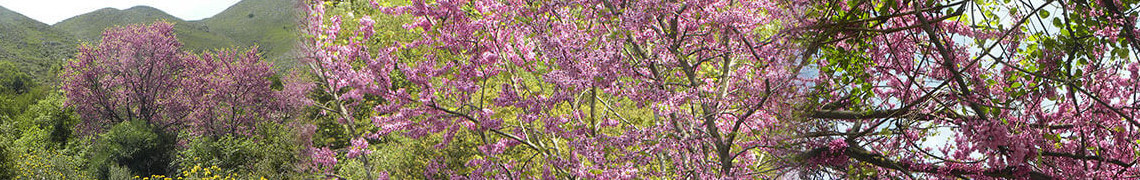 img_034.jpg:
